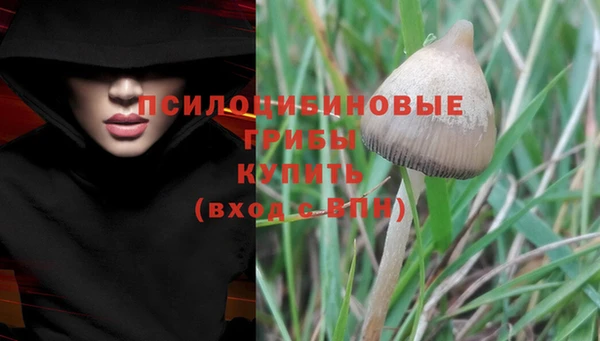 ALPHA-PVP Гусь-Хрустальный